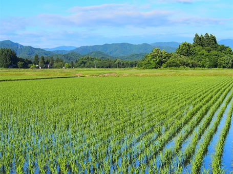 農地の環境モニタリング